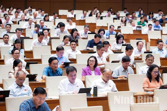 Các đại biểu dự phiên thảo luận.