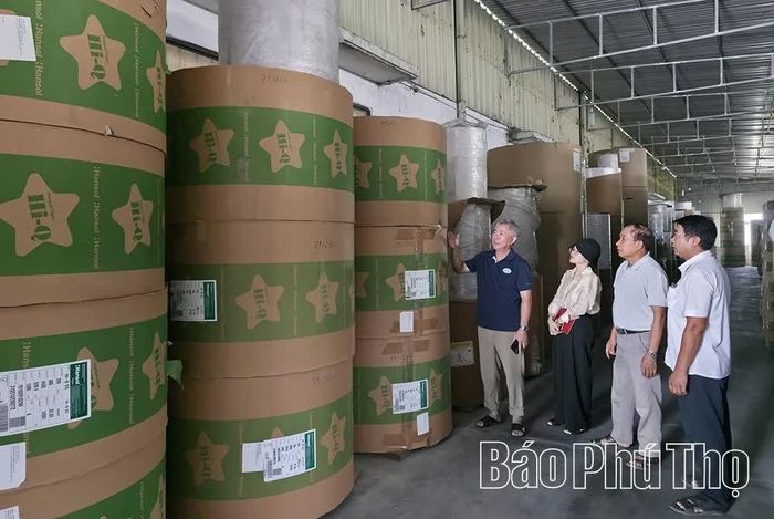 Trần Xuân Quỳnh làm Giám đốc tạo việc làm cho 75 lao động, thu nhập từ 13-15 triệu đồng/người/tháng.