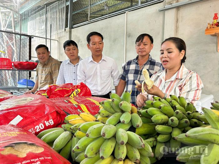 Thức ăn của chồn hương khá đơn giản, chủ yếu gồm chuối chín, cám tổng hợp, đầu gà, cá rô phi, cá trê và trứng gà - Ảnh: L.T