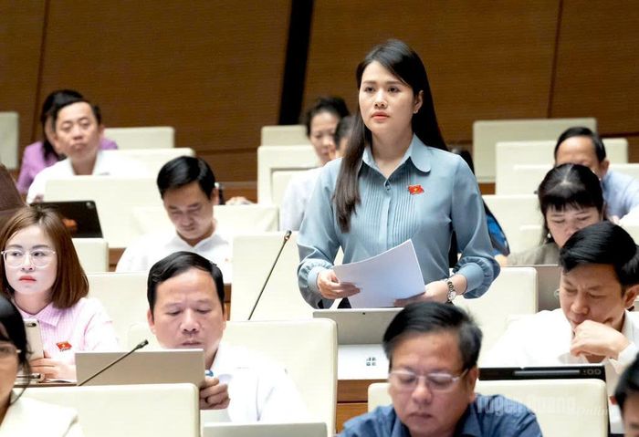 Đại biểu Quốc hội Vương Thị Hương phát biểu tham gia ý kiến.