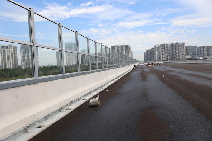Trong đó, khoảng 9km đường Vành đai 3 trên cao qua khu đô thị Vinhomes Grand Park được lắp đặt hệ thống tường chống ồn, cao khoảng 4m tính từ mặt đường. Toàn dự án đã lắp đặt 9.130 tấm, với tổng diện tích bề mặt 18.260m2.