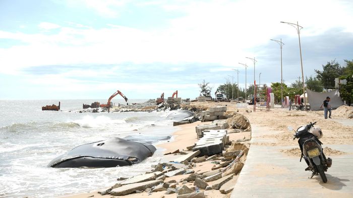 Bờ biển Thuận An bị sạt lở nghiêm trọng trong mùa mưa bão năm 2025, hiện đang được đầu tư, xây dựng kè bảo vệ bờ biển, chống sạt lở.