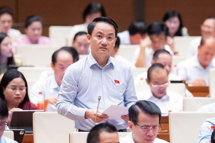 Đại biểu Lê Văn Thế (đoàn Ninh Bình). Ảnh: Quochoi.vn