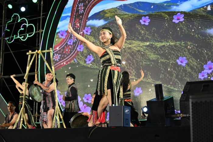Chương trình nghệ thuật với nhiều tiết mục hấp dẫn.