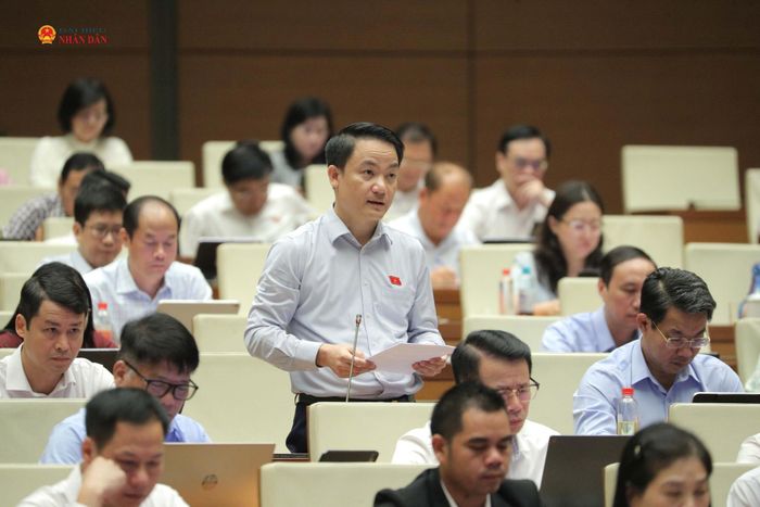 ĐBQH Lê Văn Thế (Ninh Bình) phát biểu. Ảnh: Hồ Long
