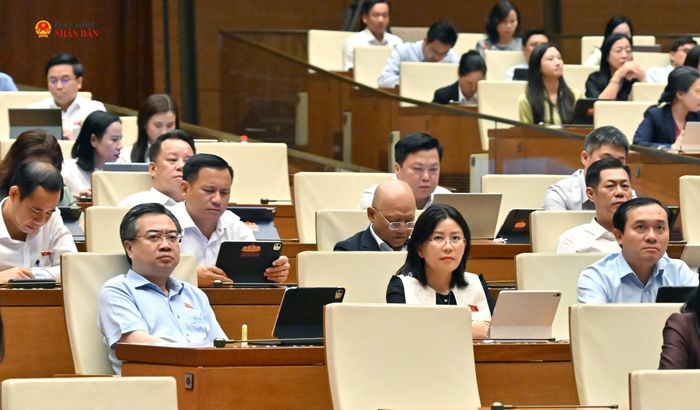 Các đại biểu tham dự phiên họp. Ảnh: Quang Khánh
