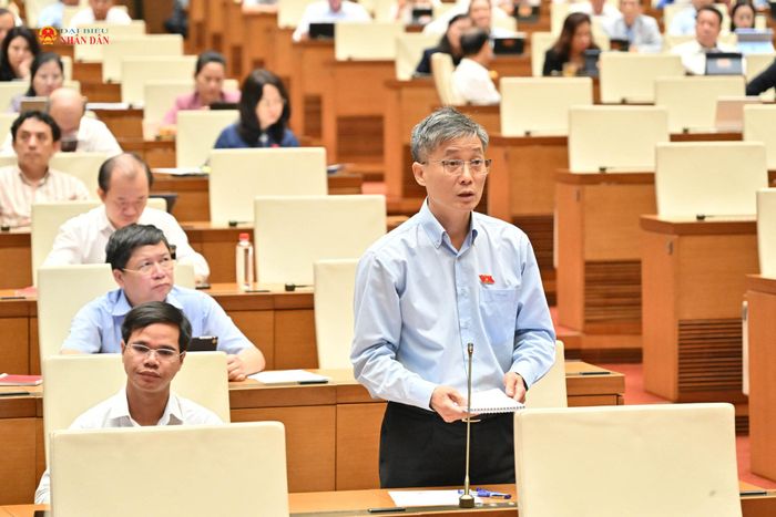 ĐBQH Nguyễn Khánh Ngọc (TP. Đà Nẵng) phát biểu