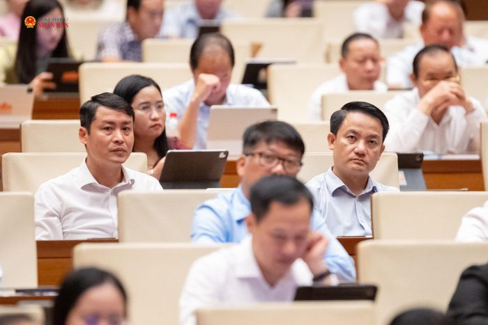 Các đại biểu tham dự phiên họp
