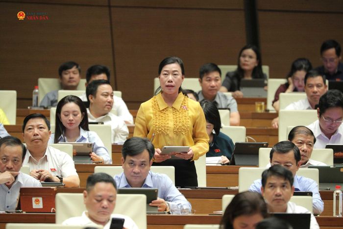 ĐBQH Triệu Lệ Khánh (TP. Hồ Chí Minh) phát biểu