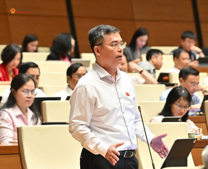 ĐBQH Nguyễn Thanh Tùng (TP. Hồ Chí Minh) phát biểu