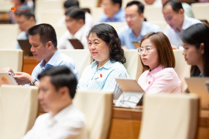 Các đại biểu tham dự phiên họp