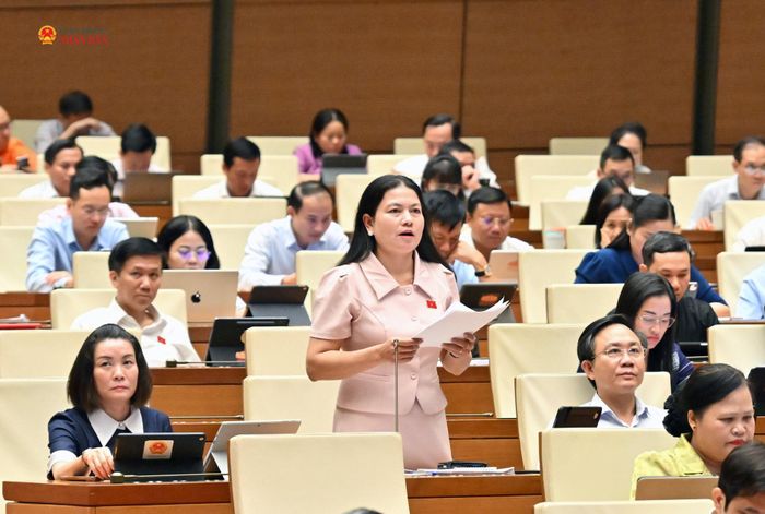 ĐBQH Ly Kiều Vân (Quảng Trị) phát biểu