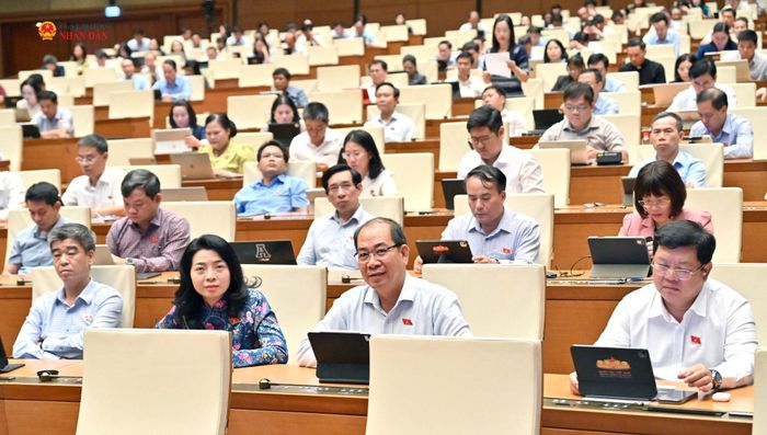 Các đại biểu tham dự phiên họp