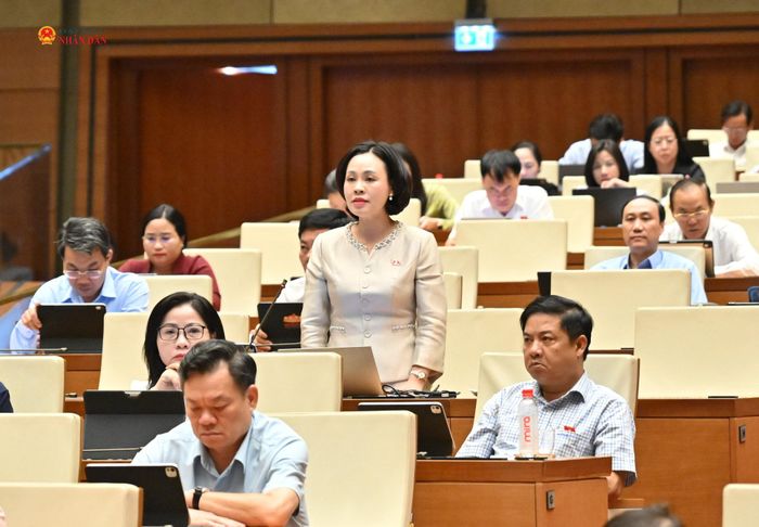 ĐBQH Trần Thị Hồng Thanh (Ninh Bình) phát biểu