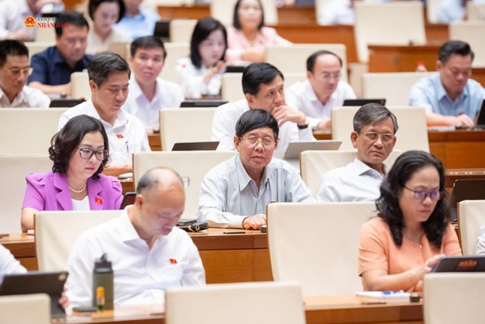 Các đại biểu tham dự phiên họp