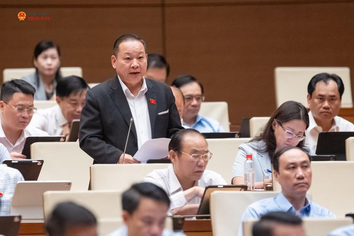 ĐBQH Tráng A Dương (Lào Cai) phát biểu