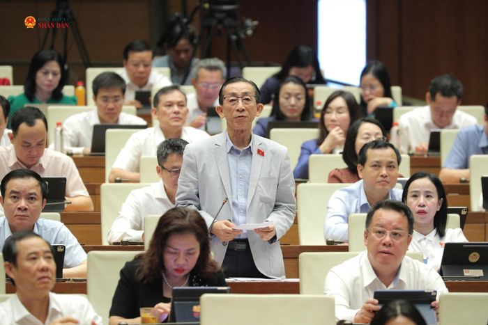 ĐBQH Trần Hoàng Ngân (TP. Hồ Chí Minh) phát biểu