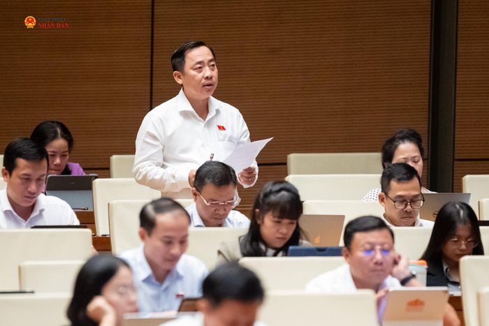 ĐBQH Đào Chí Nghĩa (TP. Cần Thơ) phát biểu