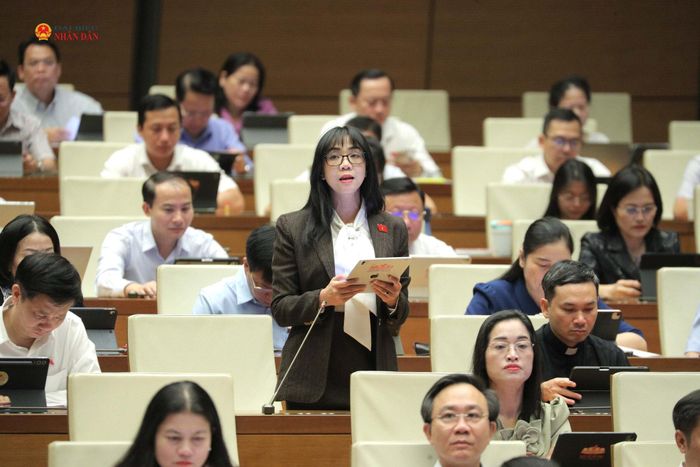 ĐBQH Trịnh Thị Tú Anh (Lâm Đồng) phát biểu