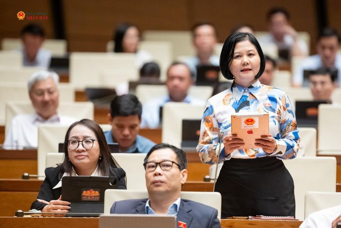 ĐBQH Trần Thị Hồng An (Quảng Ngãi) phát biểu