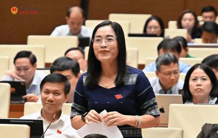 ĐBQH Cil Bri (Lâm Đồng) phát biểu
