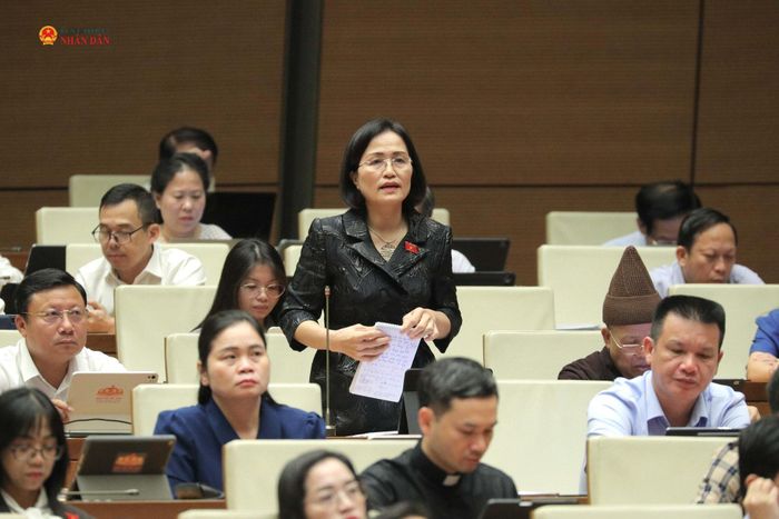 ĐBQH Trần Thị Kim Nhung (Quảng Ninh) phát biểu