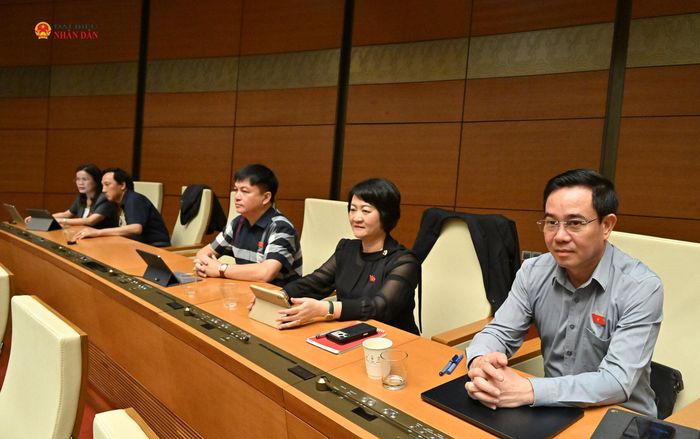 Các đại biểu tham dự phiên họp