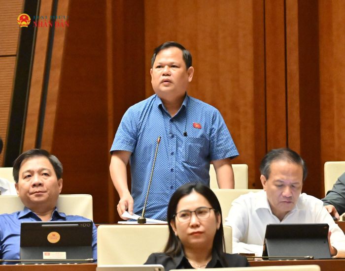 ĐBQH Nguyễn Duy Thanh (Cà Mau) phát biểu
