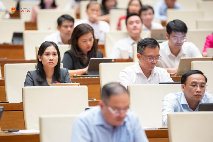 Các đại biểu tham dự phiên họp