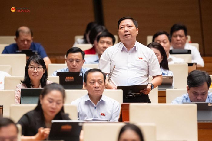 ĐBQH Nguyễn Vũ Trung (TP. Hồ Chí Minh) phát biểu