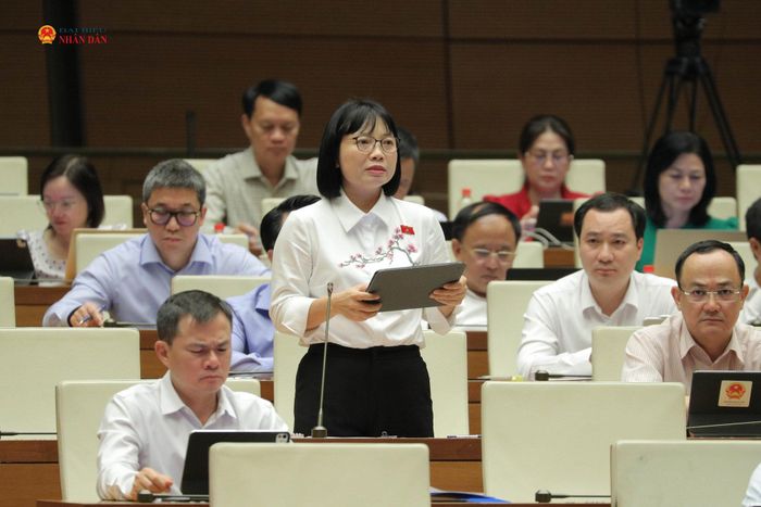 ĐBQH Nguyễn Thị Việt Nga (TP. Hải Phòng) phát biểu