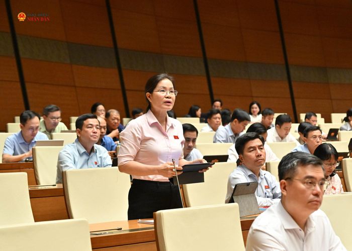 ĐBQH Nguyễn Thị Hồng Hạnh (TP. Hồ Chí Minh) phát biểu
