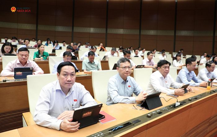 Các đại biểu tham dự phiên họp
