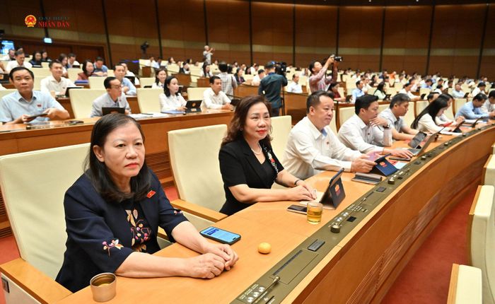 Các đại biểu tham dự phiên họp