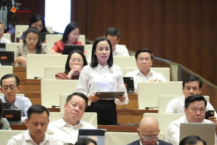 ĐBQH Võ Ngọc Thanh Trúc (TP. Hồ Chí Minh) phát biểu