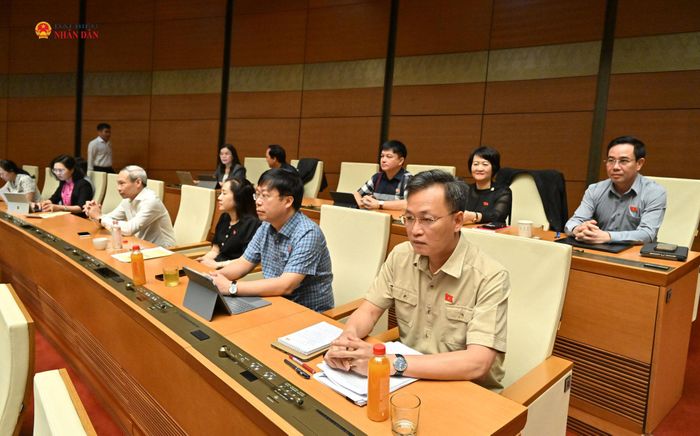 Các đại biểu tham dự phiên họp