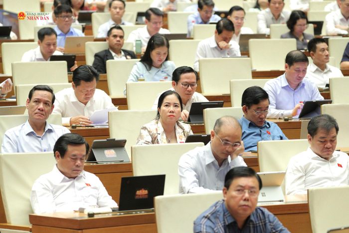 Các đại biểu tham dự phiên họp