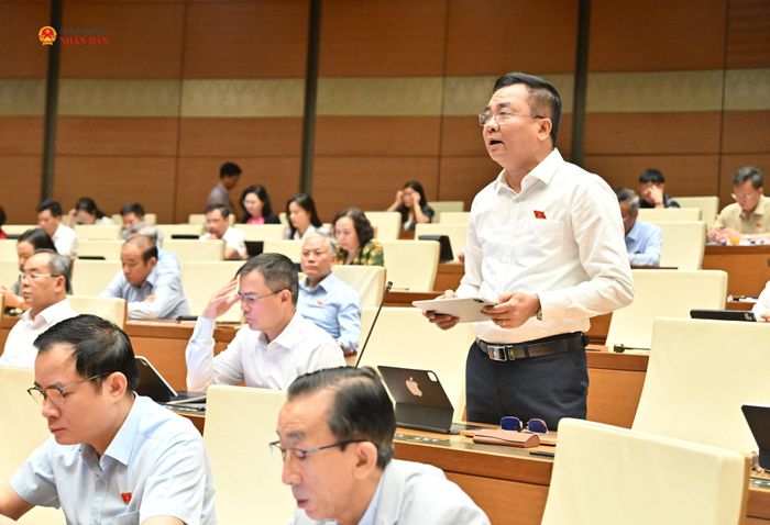 ĐBQH Nguyễn Minh Đức (TP. Hồ Chí Minh) phát biểu