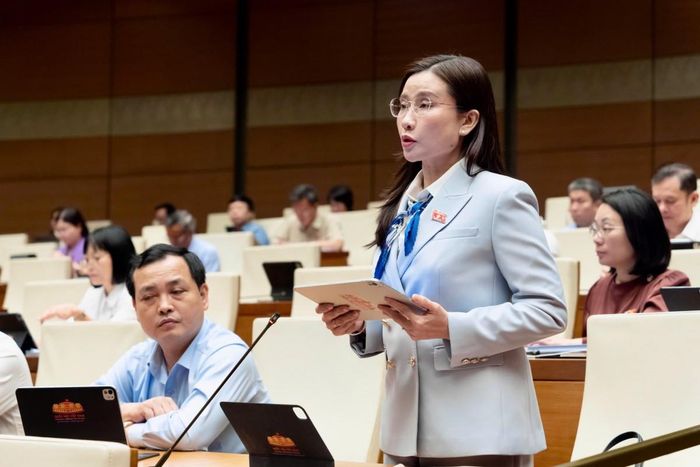 Đại biểu Nguyễn Phạm Duy Trang (Đoàn TP HCM). Ảnh: Media Quốc hội