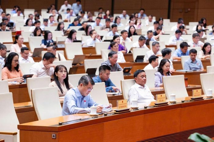 Các đại biểu tham dự phiên họp
