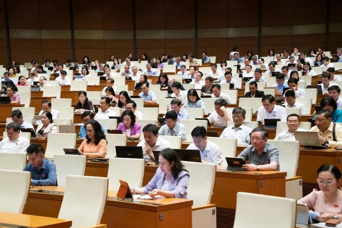 Các đại biểu tham dự phiên họp