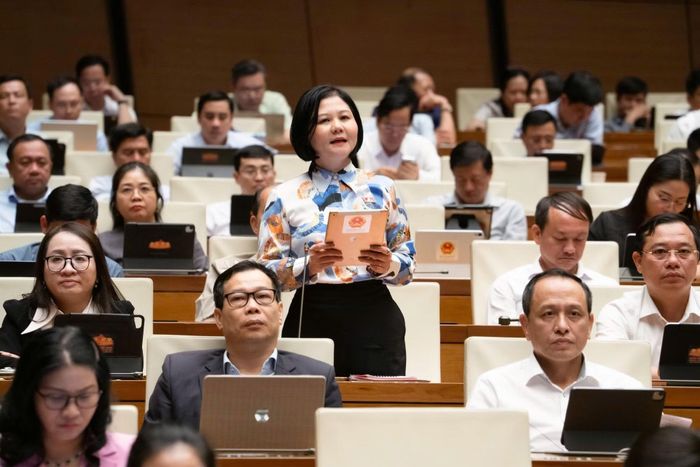  Đại biểu Quốc hội Trần Thị Hồng An (Đoàn Quảng Ngãi) phát biểu tại phiên họp. 