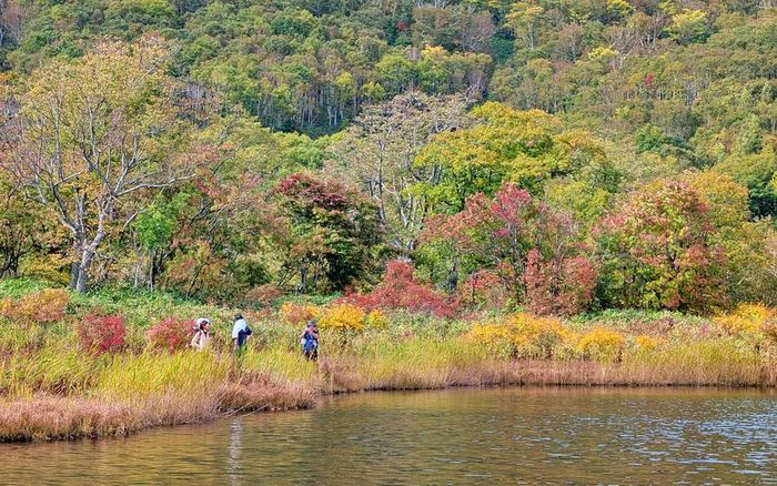 Các tour đi bộ (hiking) đường dài ở vùng thấp của Hokkaido (Nhật Bản), mang đến khung cảnh mùa thu tuyệt đẹp vào tháng 10. Ảnh: adventure-hokkaido