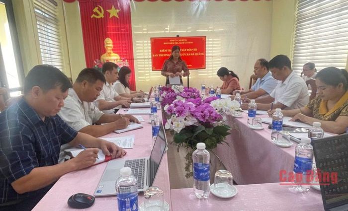 Trưởng Ban Tổ chức Tỉnh ủy Lê Hải Yến phát biểu kết luận buổi làm việc.