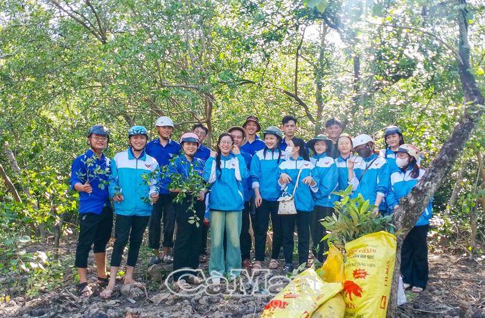 Khí thế ra quân sôi nổi của lực lượng đoàn viên - thanh niên.