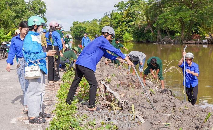 Các lực lượng phối hợp trồng cây.