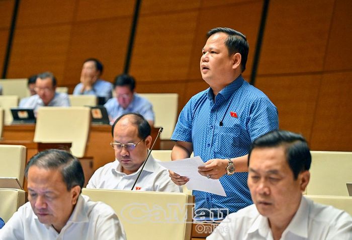 Đại biểu Nguyễn Duy Thanh, Uỷ viên Uỷ ban Kinh tế và Tài chính của Quốc hội, Phó Chủ tịch Hiệp hội Doanh nghiệp tỉnh Cà Mau, phát biểu tại phiên thảo luận.