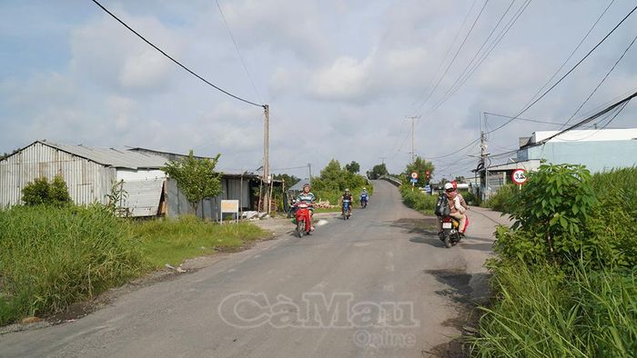  Các cầu giao thông nông thôn trên tuyến cũng sẽ được cải tạo, mở rộng và nâng tải trọng thiết kế lên 8 tấn để bảo đảm khai thác đồng bộ.