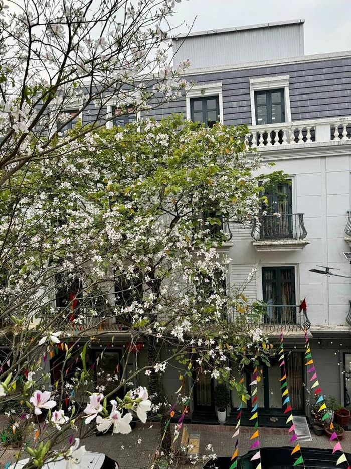 Hình ảnh bên ngoài căn biệt thự.