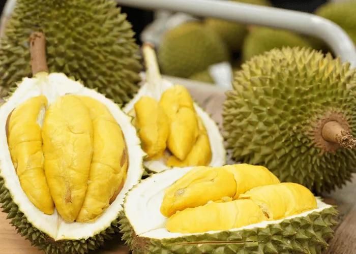 50 cơ sở kiểm nghiệm Việt Nam được Trung Quốc chấp nhận, mở thêm thuận lợi cho xuất khẩu mít, sầu riêng. (Ảnh minh họa).